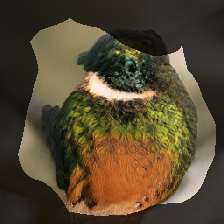 layer0-263