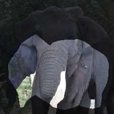 layer0-445