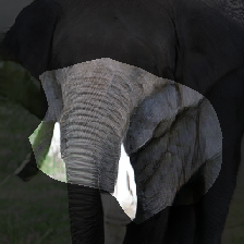 layer0-445