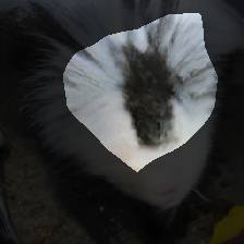 layer0-1027