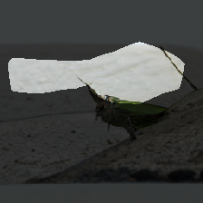 layer0-1236