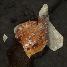 layer0-638