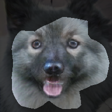 layer0-266
