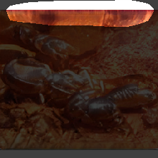 layer0-1030