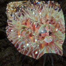 layer0-449