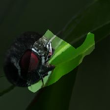 layer0-79