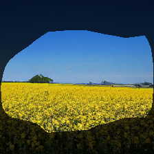 layer0-1239