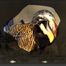 layer0-80