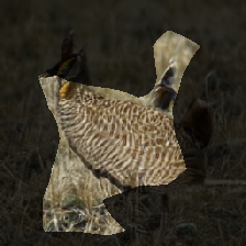 layer0-451