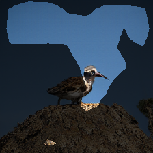 layer0-1426