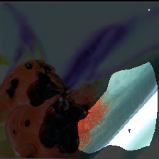 layer0-81
