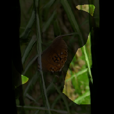 layer0-270