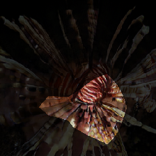 layer0-270