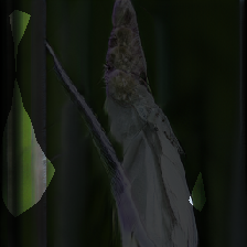 layer0-270