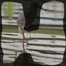 layer0-642