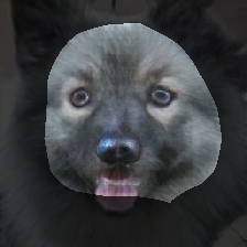 layer0-1036