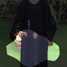 layer0-1246