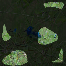 layer0-1247