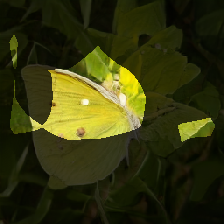 layer0-1427