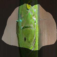 layer0-462