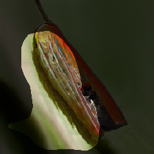 layer0-1041