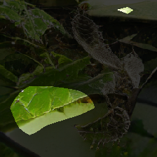 layer0-280