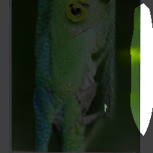 layer0-463
