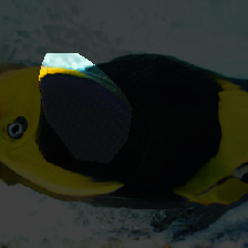 layer0-281