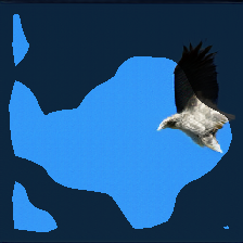 layer0-1043