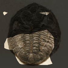 layer0-654