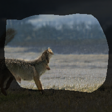layer0-282