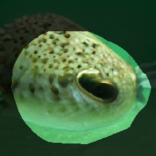 layer0-95