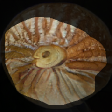 layer0-95