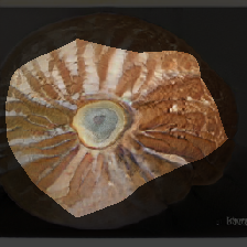 layer0-95
