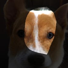 layer0-656