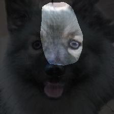 layer0-656