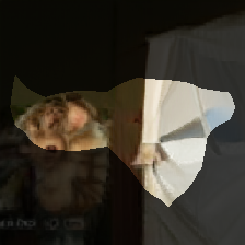 layer0-102