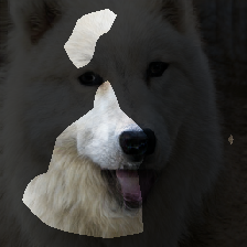 layer0-470