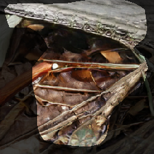 layer0-1428