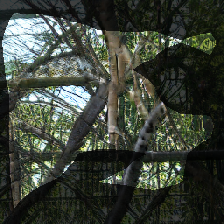 layer0-1428