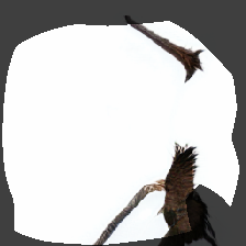 layer0-474