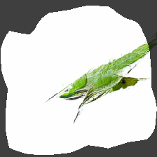 layer0-474