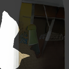 layer0-1269