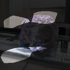 layer0-294