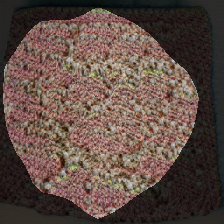 layer0-1272