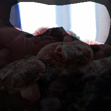 layer0-113