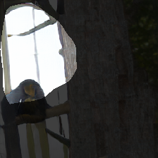 layer0-113
