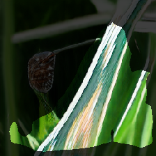 layer1-67