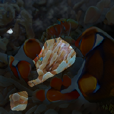 layer1-67