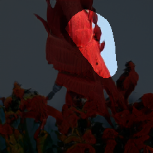 layer0-1061